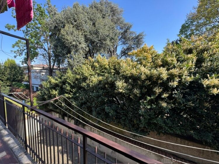 PHOTO 2026 04 13 17 35 46 (25) 1776269738 gallery 750x563